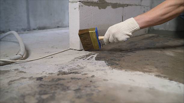 Top rated local Basement Waterproofing specialists in Woodlawn, VA